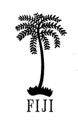 FIJI logo