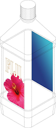 FIJI logo