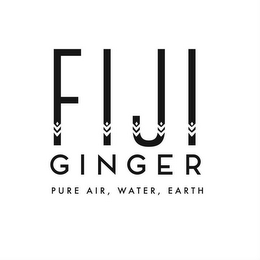 FIJI GINGER PURE AIR, WATER, EARTH logo