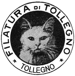 FILATURA DI TOLLEGNO TOLLEGNO logo