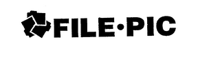 FILE PIC logo