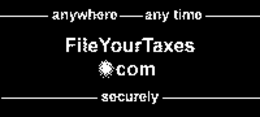 FILE YOUR TAXES.COM ANYWHERE ANYTIME SECURITY logo