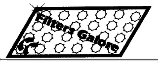 FILTERS GALORE logo