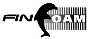 FIN FOAM logo