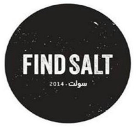 FIND SALT 2014 logo