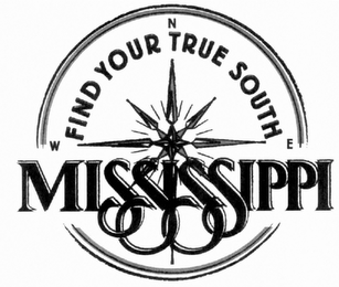 FIND YOUR TRUE SOUTH W N E MISSISSIPPI logo