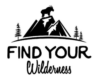 FIND YOUR WILDERNESS logo