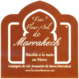 "FINE" FLEUR DE SEL MARRAKECH RÉCOLTÉE À LA MAIN AU MAROC COMPAGNIE DES SELS AROMATISÉS DU MAROC/MARRAKECH WWW.FLEURDESELDUMAROC.COM logo