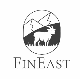 FINEAST logo