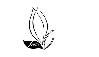FINESSE logo