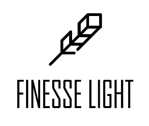 FINESSE LIGHT logo
