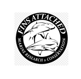 FINS ATTACHED MARINE RESEARCH & CONSERVATION logo