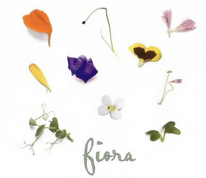 FIORA logo