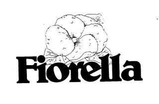 FIORELLA logo