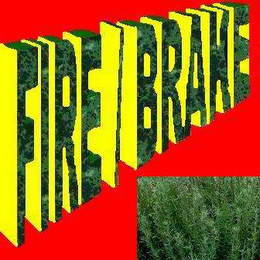 FIRE / BRAKE logo