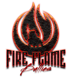 FIRE FLAME BULLIES logo