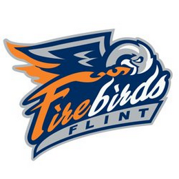 FIREBIRDS FLINT logo