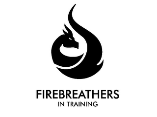FIREBREATHERS IN TRAINING logo
