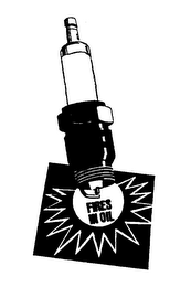 FIRES IN OIL logo