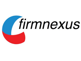 FIRMNEXUS logo