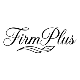 FIRMPLUS logo