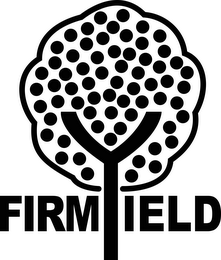FIRMYIELD logo