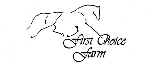FIRST CHOICE FARM logo