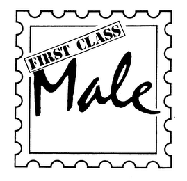 FIRST CLASS MALE logo