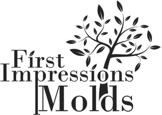 FIRST IMPRESSIONS MOLDS logo