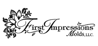 FIRST IMPRESSIONS MOLDS, LLC. logo