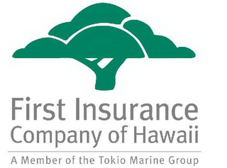 FIRST INSURANCE COMPANY OF HAWAII A MEMBER OF THE TOKIO MARINE GROUP logo