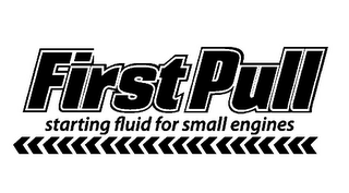 FIRST PULL STARTING FLUID FOR SMALL ENGINES logo
