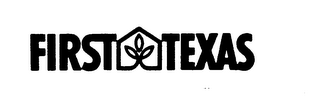 FIRST TEXAS logo