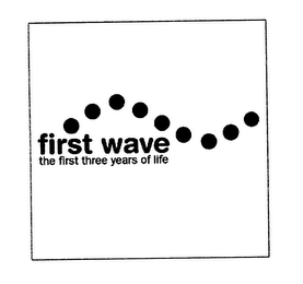 FIRST WAVE THE FIRST THREE YEARS logo