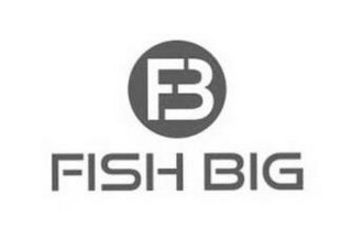 FISH BIG FB logo