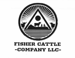 FISHER CATTLE - COMPANY LLC - logo