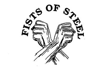FISTS OF STEEL