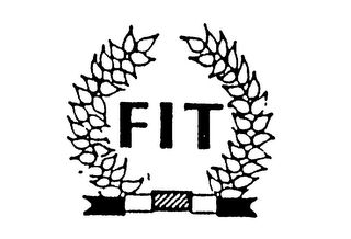 FIT logo