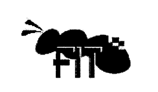 FIT logo