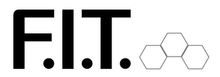 F.I.T. logo