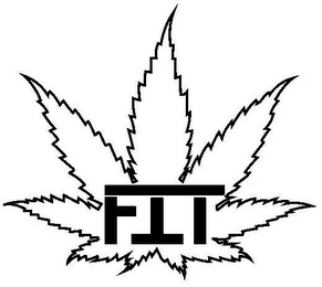 FIT logo