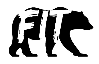 FIT logo