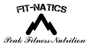 FIT-NATICS PEAK FITNESS NUTRITION logo