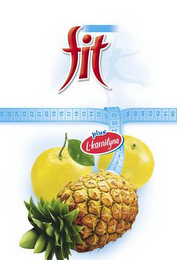 FIT PLUS L-KARNITYNA logo