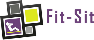 FIT-SIT logo
