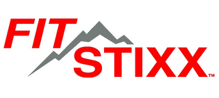 FIT STIXX logo
