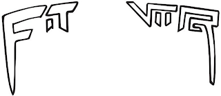 FIT VIIR logo