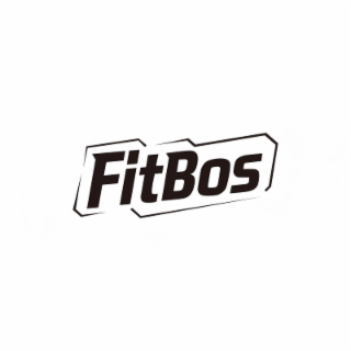 FITBOS logo