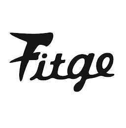 FITGE logo