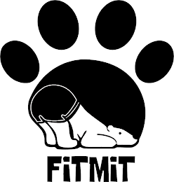 FITMIT logo